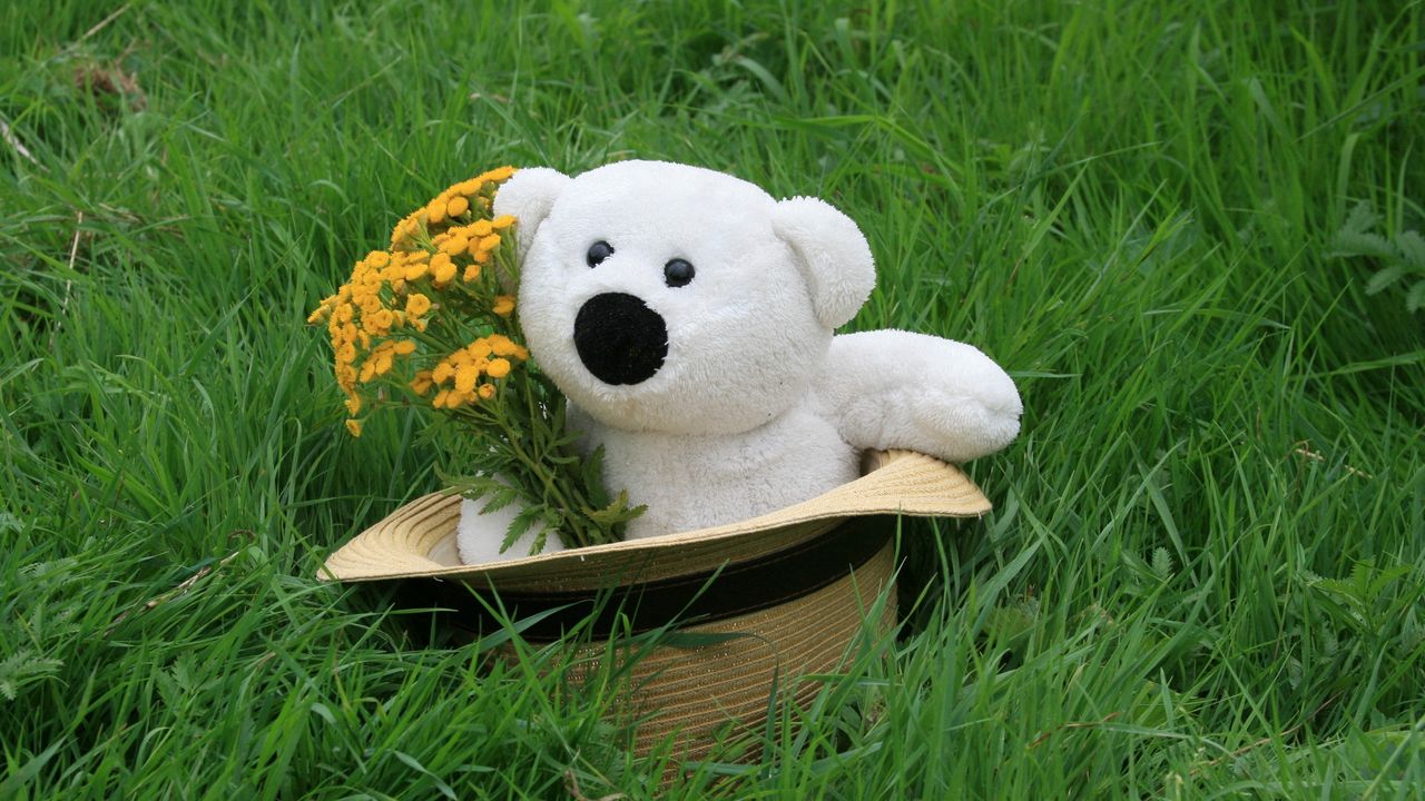 Wallpaper teddy bear, hat, grass, flowers, gift