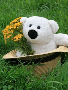 Preview wallpaper teddy bear, hat, grass, flowers, gift