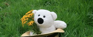 Preview wallpaper teddy bear, hat, grass, flowers, gift
