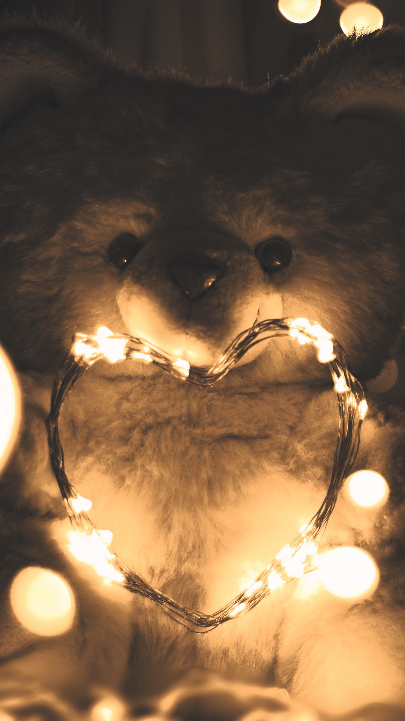New Teddy Bear  teddy sitting by fire Wallpaper Download  MobCup