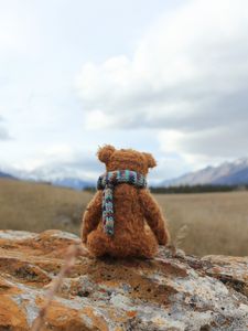 Preview wallpaper teddy bear, loneliness, toy, stone
