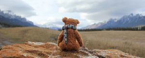 Preview wallpaper teddy bear, loneliness, toy, stone