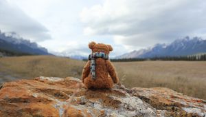 Preview wallpaper teddy bear, loneliness, toy, stone