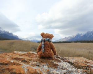 Preview wallpaper teddy bear, loneliness, toy, stone