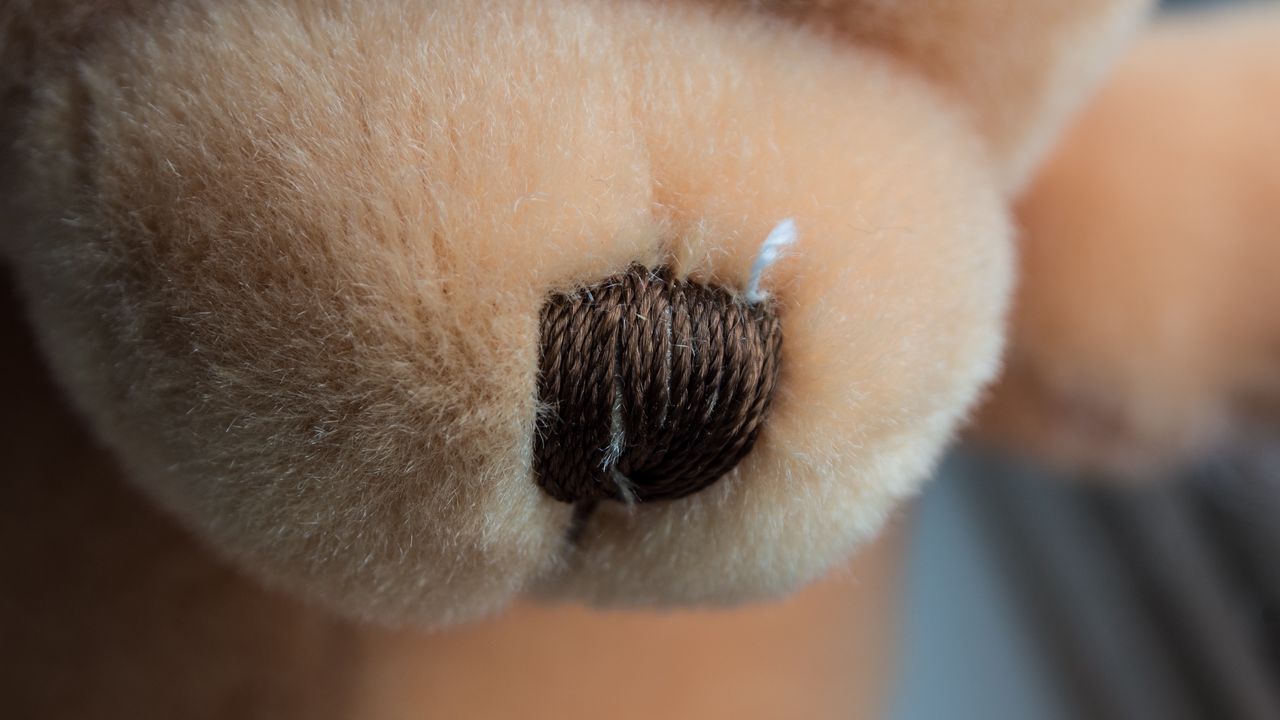 Wallpaper teddy bear, nose, muzzle, material