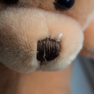 Preview wallpaper teddy bear, nose, muzzle, material