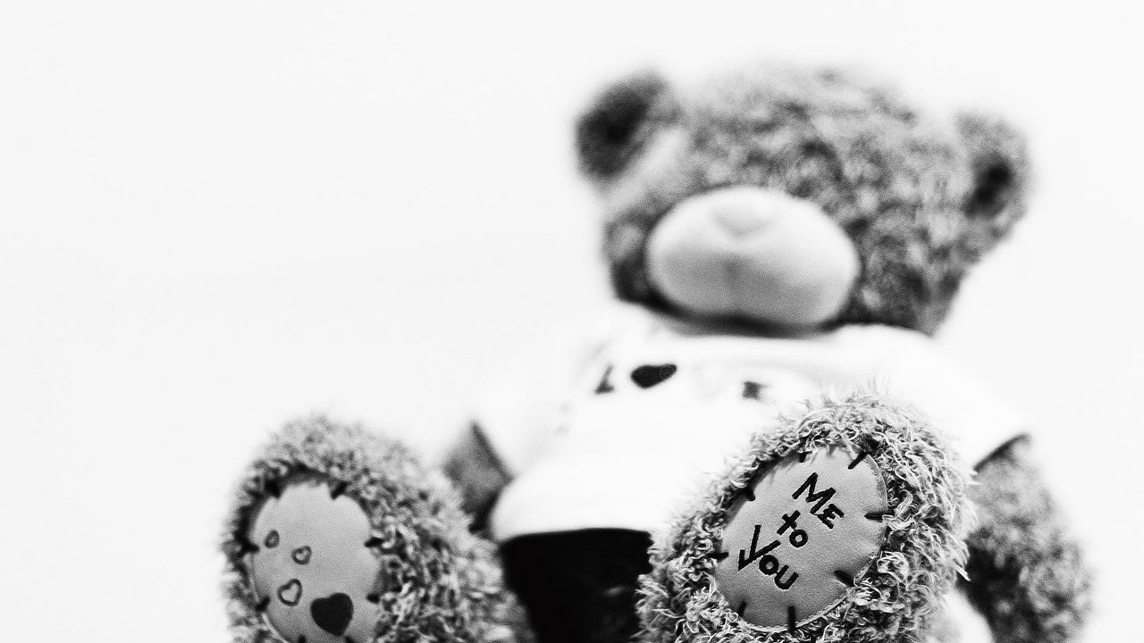 Wallpaper teddy bear, teddy, bear, toy, soft