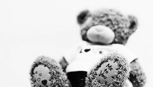 Preview wallpaper teddy bear, teddy, bear, toy, soft