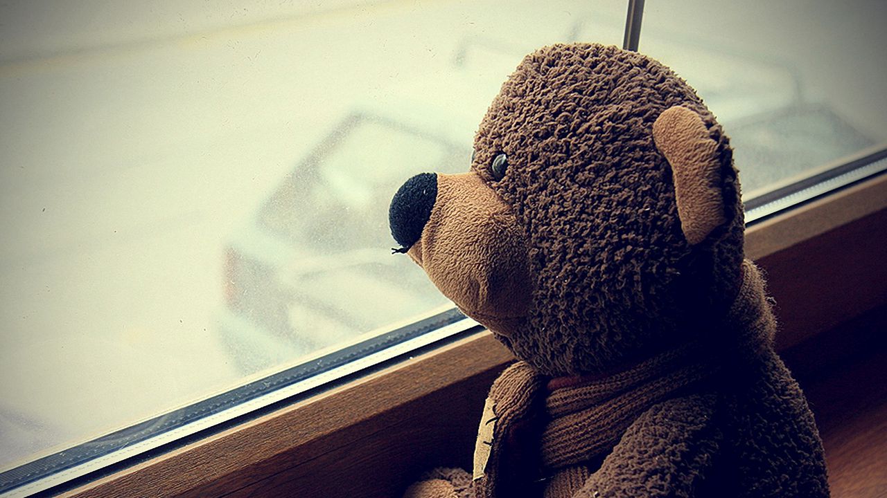 Wallpaper teddy bear, toy, cup, coffee, window, expectations, mood