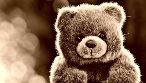 Preview wallpaper teddy bear, toy, glare
