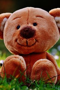 Preview wallpaper teddy bear, toy, grass