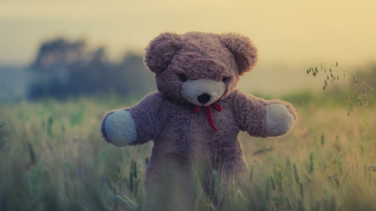Wallpaper teddy bear, toy, grass