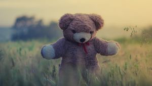 Preview wallpaper teddy bear, toy, grass