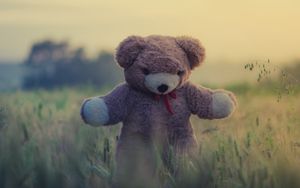 Preview wallpaper teddy bear, toy, grass