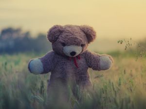 Preview wallpaper teddy bear, toy, grass