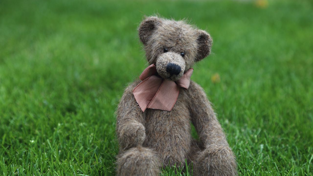 Wallpaper teddy bear, toy, grass