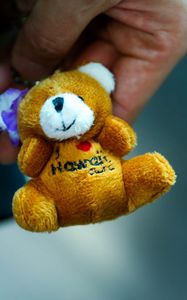 Preview wallpaper teddy bear, toy, hand