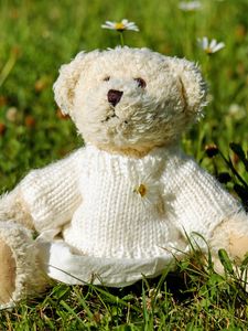 Preview wallpaper teddy bear, toy, jacket, grass