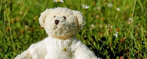 Preview wallpaper teddy bear, toy, jacket, grass