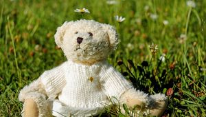 Preview wallpaper teddy bear, toy, jacket, grass
