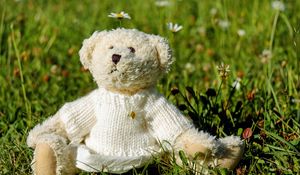 Preview wallpaper teddy bear, toy, jacket, grass