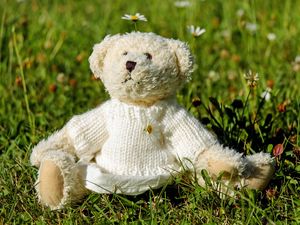 Preview wallpaper teddy bear, toy, jacket, grass