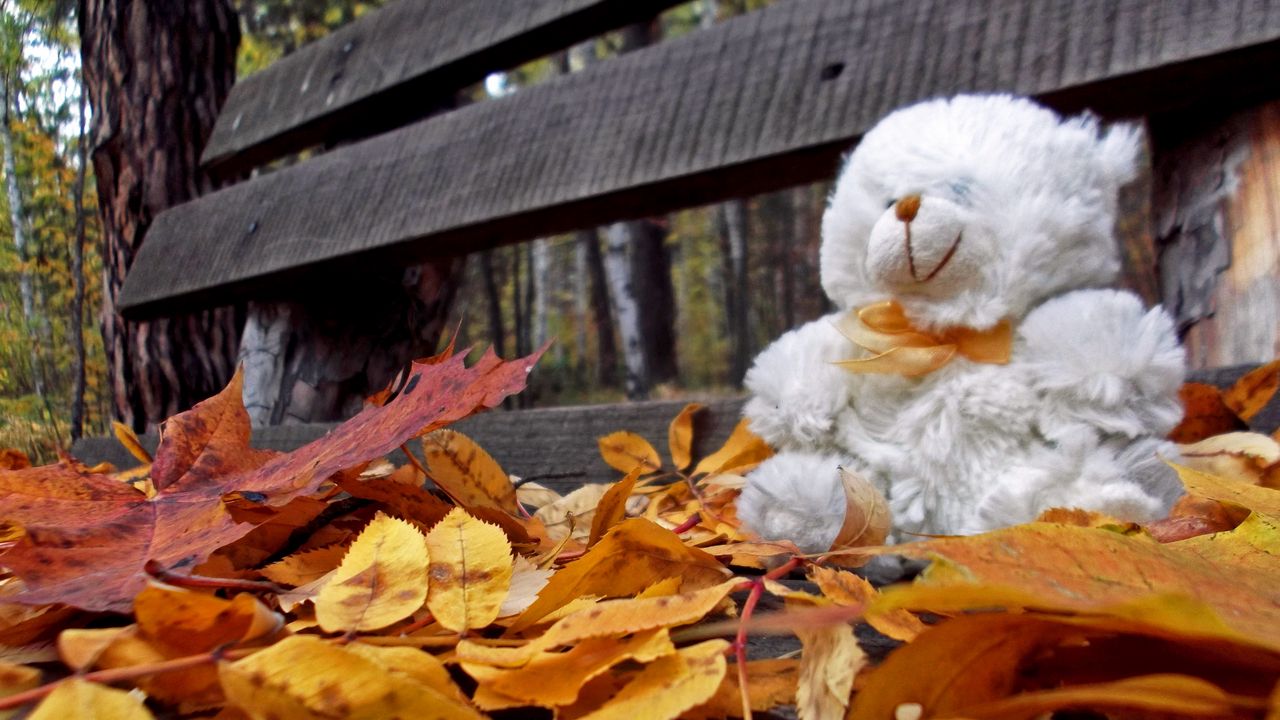 Wallpaper teddy bear, toy, loneliness, autumn, bench, leaves