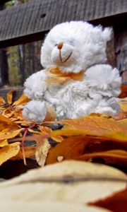 Preview wallpaper teddy bear, toy, loneliness, autumn, bench, leaves