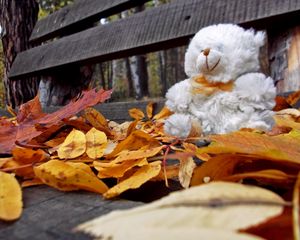 Preview wallpaper teddy bear, toy, loneliness, autumn, bench, leaves