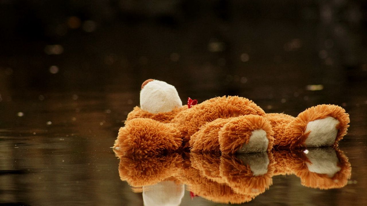 Wallpaper teddy bear, toy, pool, water