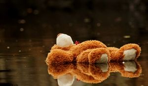 Preview wallpaper teddy bear, toy, pool, water