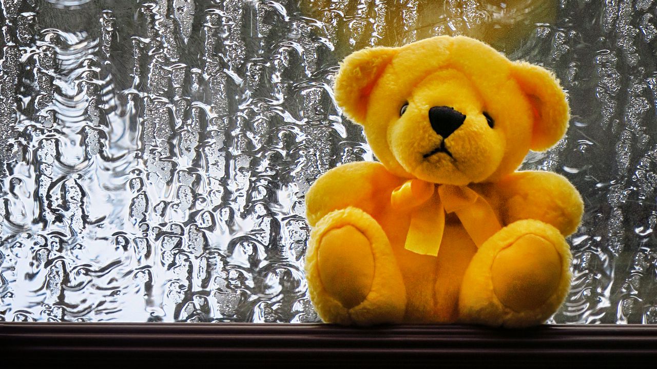 Wallpaper teddy bear, toy, teddy, window, wet