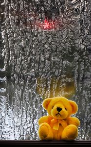 Preview wallpaper teddy bear, toy, teddy, window, wet
