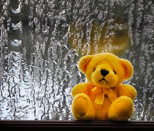 Preview wallpaper teddy bear, toy, teddy, window, wet