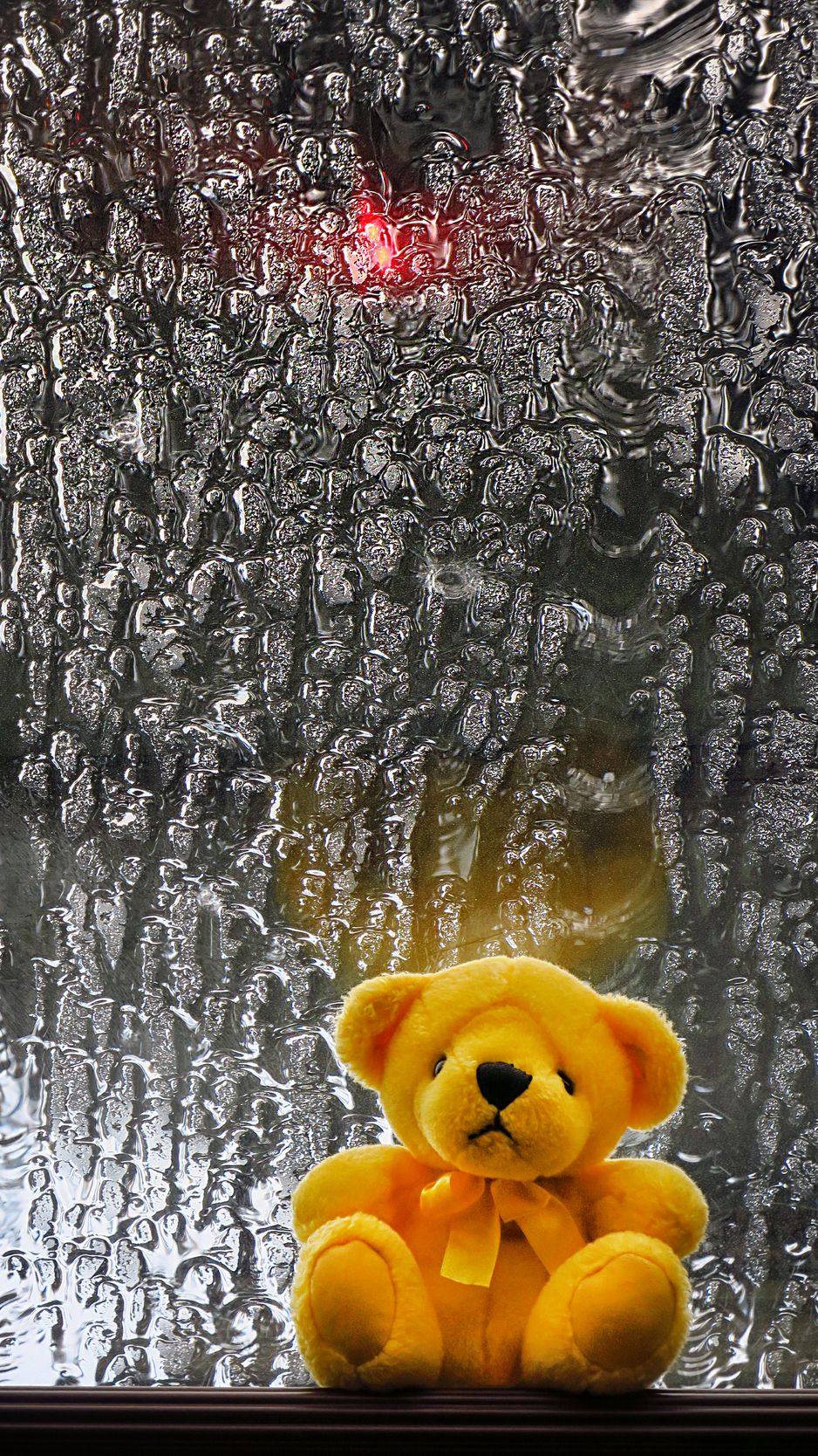 47 Bear iPhone Wallpaper  WallpaperSafari