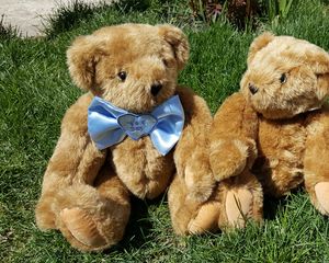 Preview wallpaper teddy bears, toys, couple, grass