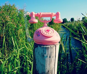 Preview wallpaper telephone, toy, grass, river, trees