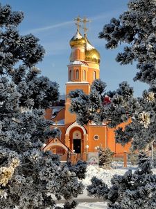 Preview wallpaper temirtau, temple, trees, winter