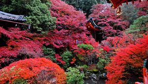 Preview wallpaper temple, autumn, japan, kyoto