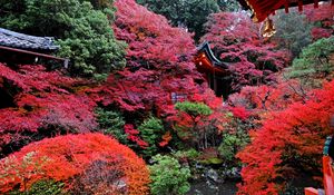 Preview wallpaper temple, autumn, japan, kyoto