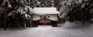 Preview wallpaper temple, forest, snow, winter, nature