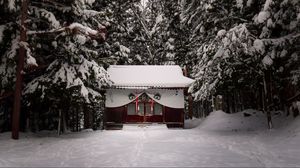 Preview wallpaper temple, forest, snow, winter, nature