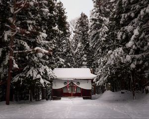 Preview wallpaper temple, forest, snow, winter, nature