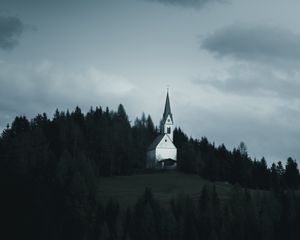 Preview wallpaper temple, forest, trees, overcast, clouds