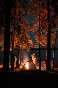 Preview wallpaper tent, campfire, camping, night, nature