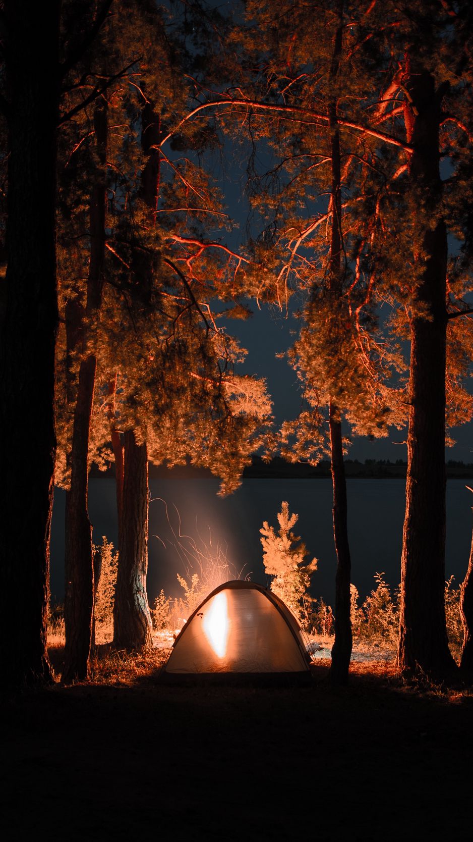 324789 Sunset Camping Bonfire Landscape Scenery Illustration Digital  Art 4k  Rare Gallery HD Wallpapers
