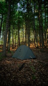 Preview wallpaper tent, camping, forest, trees