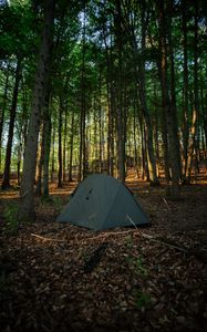 Preview wallpaper tent, camping, forest, trees