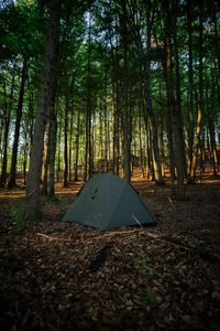 Preview wallpaper tent, camping, forest, trees