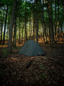 Preview wallpaper tent, camping, forest, trees